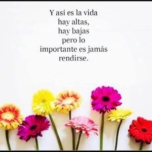 Meet your Posher, Susana